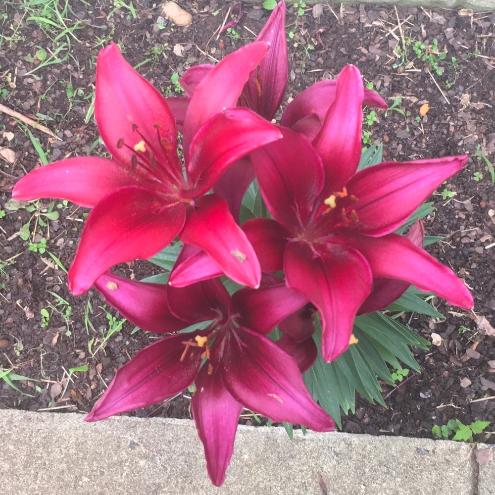 Meet your Posher, Jeebs